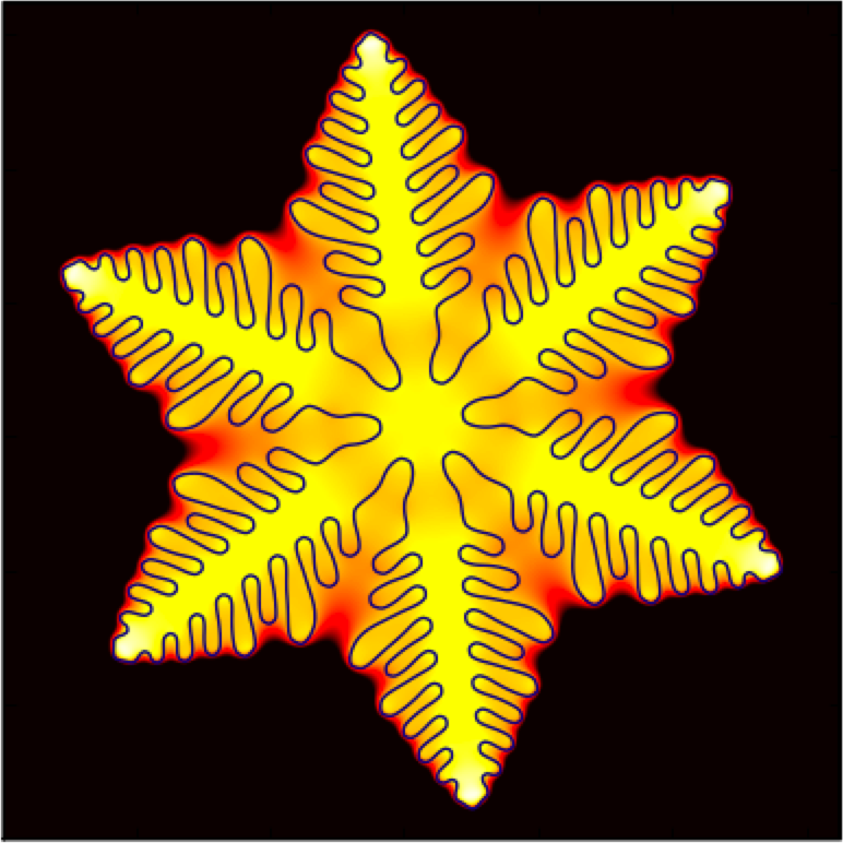 Illustration of dendrite growth using the phase field method