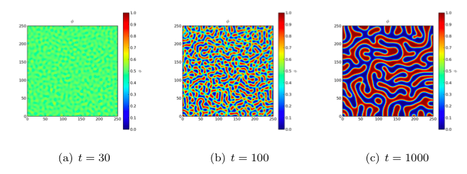evolution of Cahn-Hilliard phase separation at t = 30, 100 and 1000