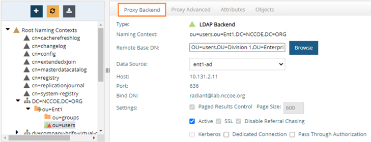 This is a screenshot of the settings for the Proxy Backend.